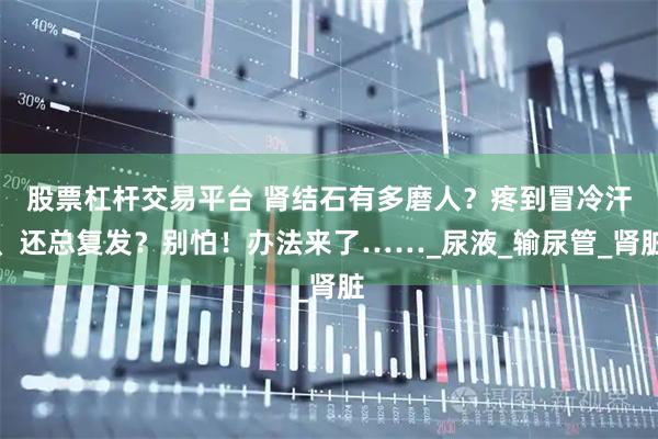 股票杠杆交易平台 肾结石有多磨人？疼到冒冷汗、还总复发？别怕！办法来了……_尿液_输尿管_肾脏